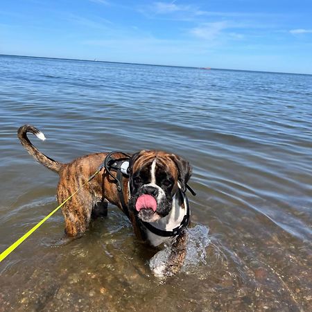 Dogs Welcome! Domek Na Zacisznej ポゴジェリツァ エクステリア 写真