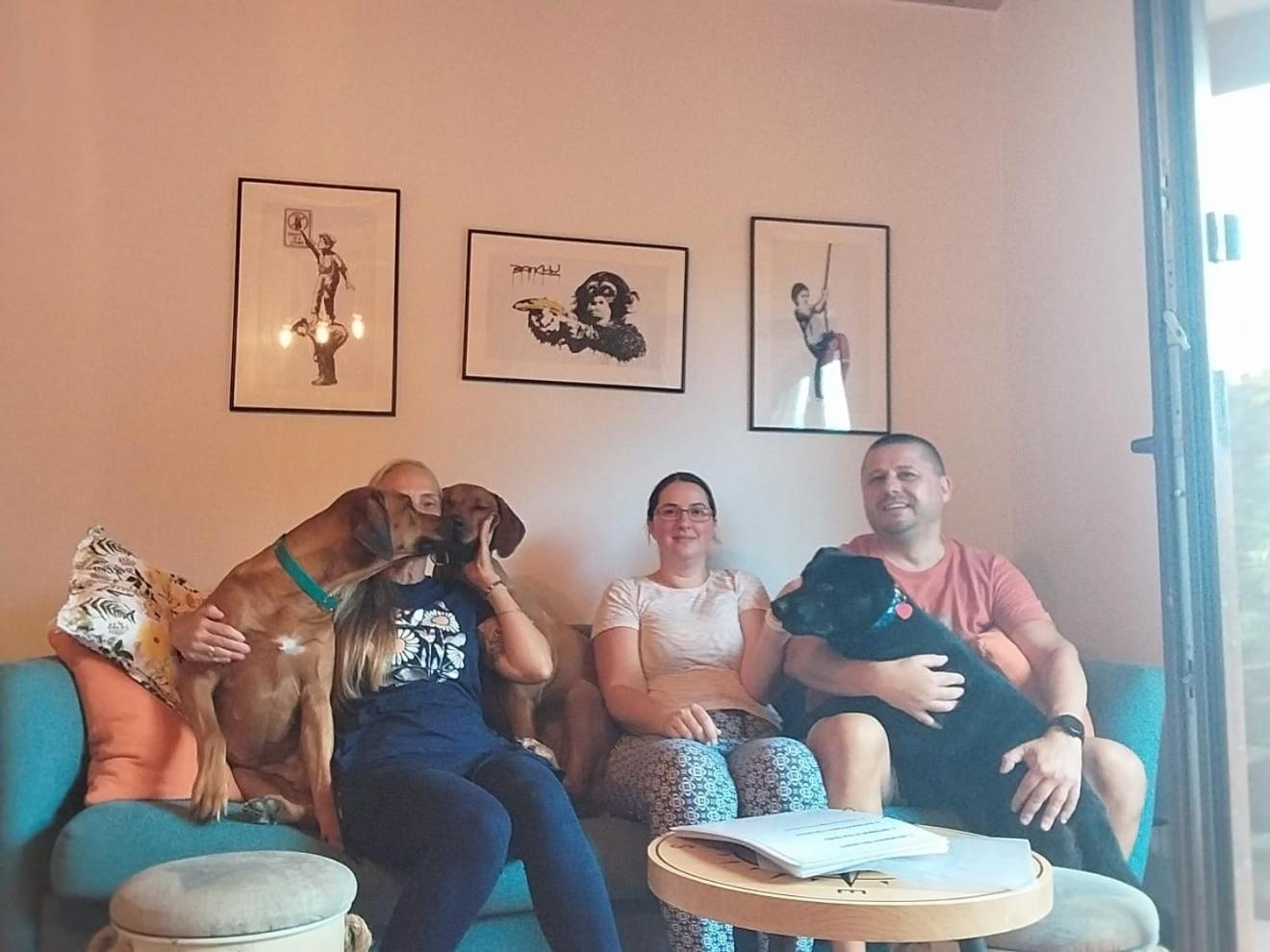 Dogs Welcome! Domek Na Zacisznej ポゴジェリツァ エクステリア 写真